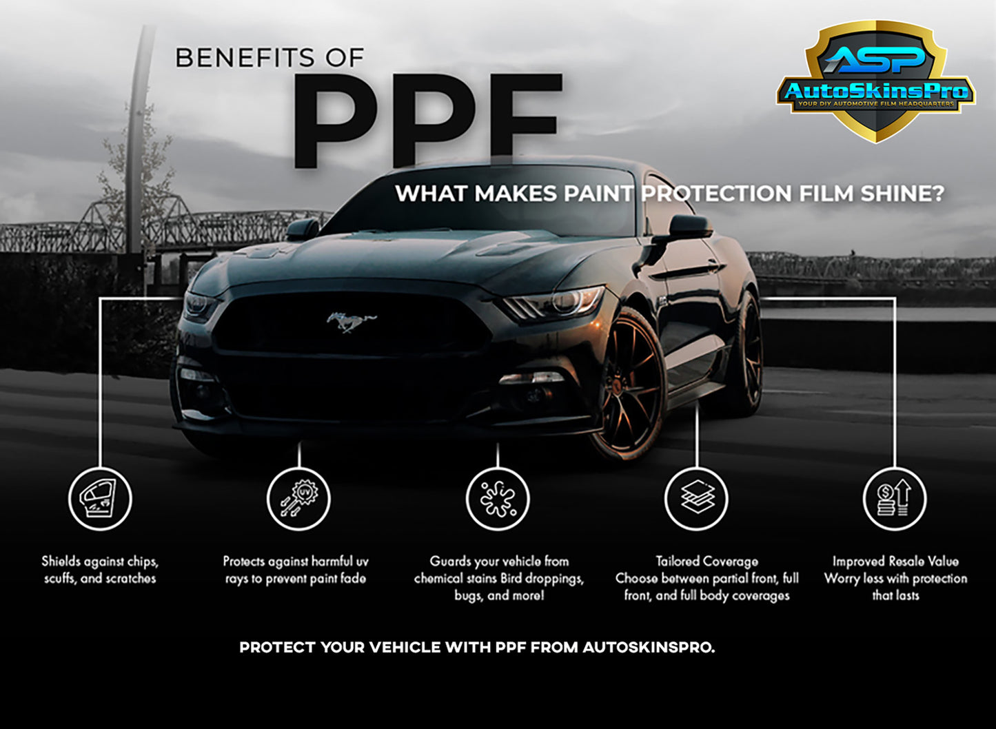 Precut Paint Protection Film (PPF) for 1998-2002 Honda Accord Sedan Front Bumper